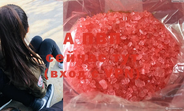 ECSTASY Новозыбков