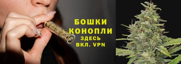 ECSTASY Новозыбков
