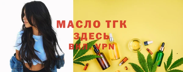 твердый Новодвинск