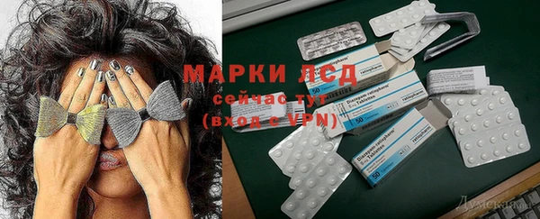 твердый Новодвинск