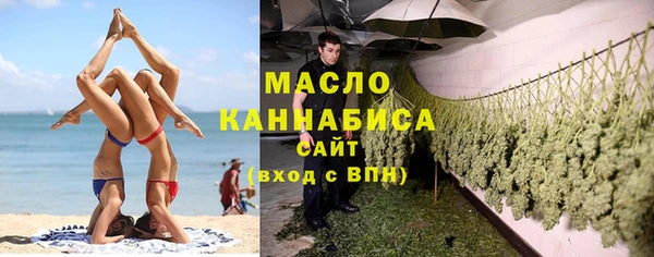 твердый Новодвинск