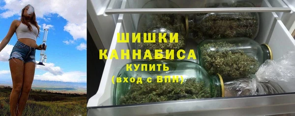 твердый Новодвинск