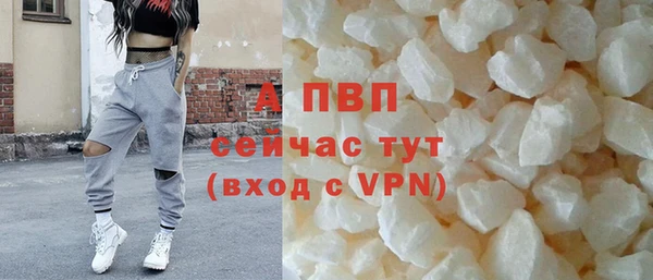 твердый Новодвинск