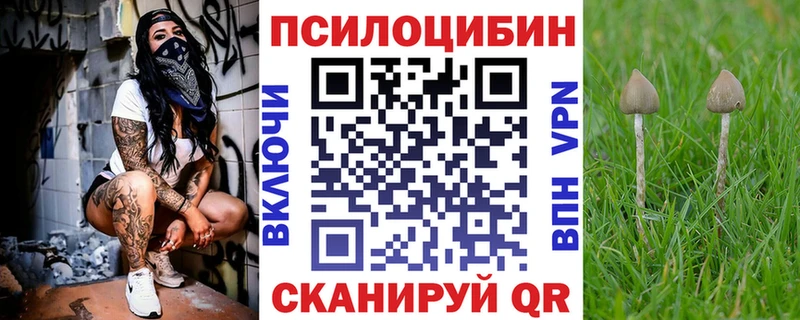 Купить  Томари  Галлюциногенные грибы MAGIC MUSHROOMS 