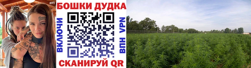 Конопля LSD WEED  Купить закладки  Томари 